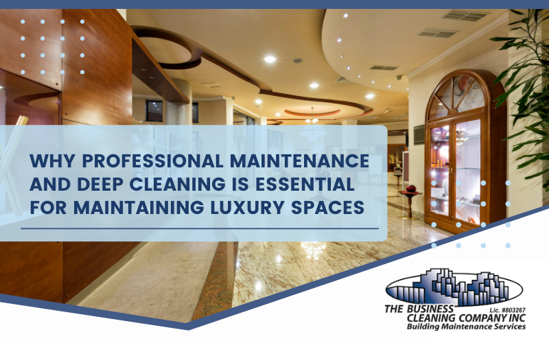 Cleaning and Maintenance Services for Professional Spaces