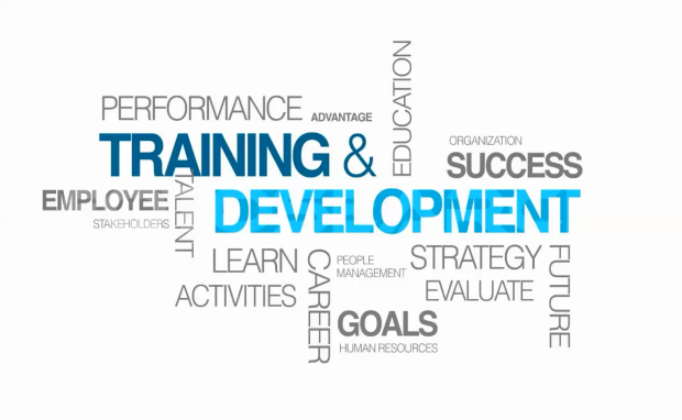 Top Training Services for Employee Skill Enhancement